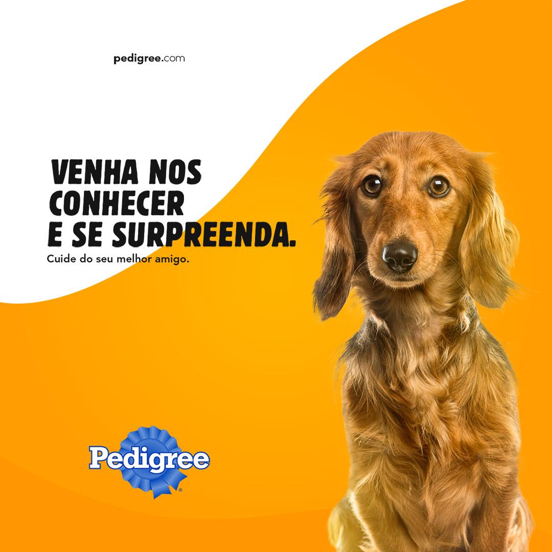 ederveigadesign